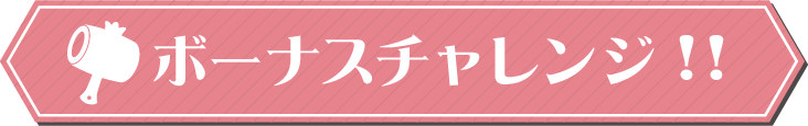 ボーナスチャレンジ賞